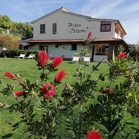 Agriturismo Diaccia Botrona-2